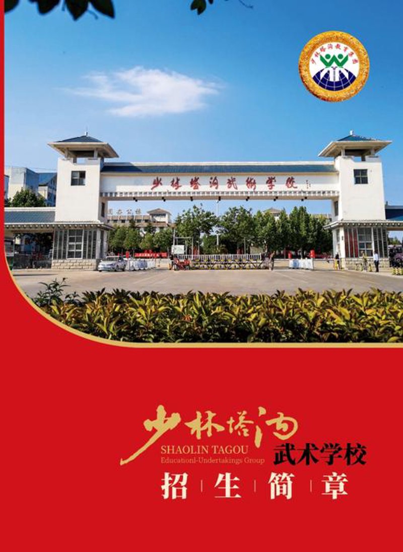 武术培训:传承与创新